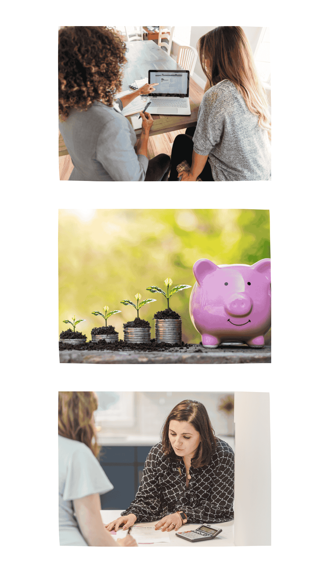 find financial calm at MSCU collage _2(1080×1920) find financial calm at MSCU