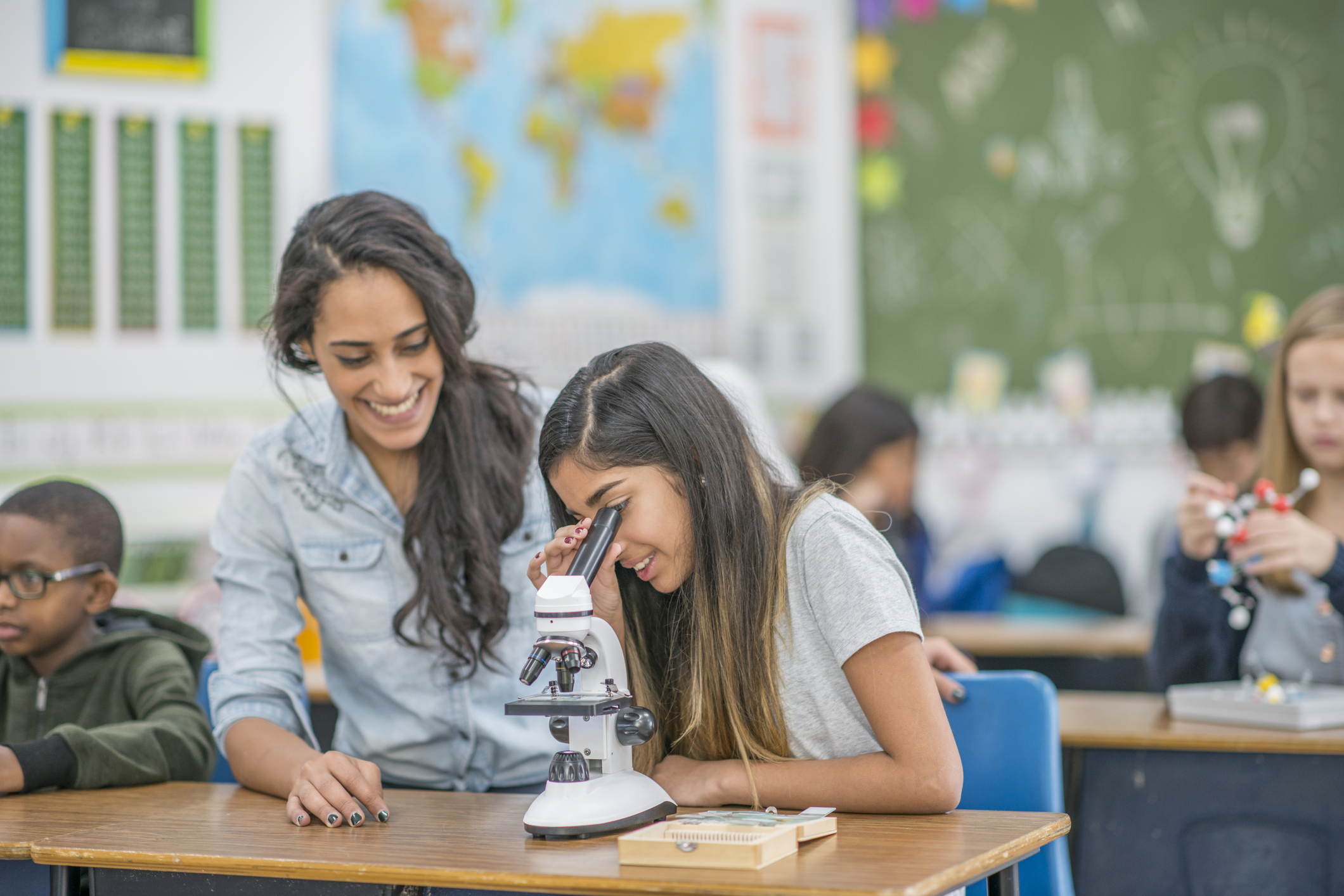 School Expenses and Fees