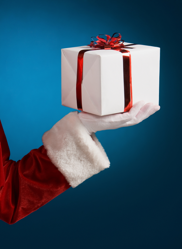 santas package Santa package